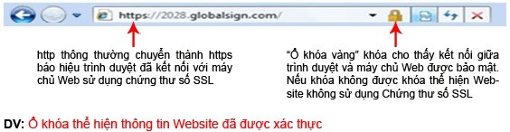 DV SSL